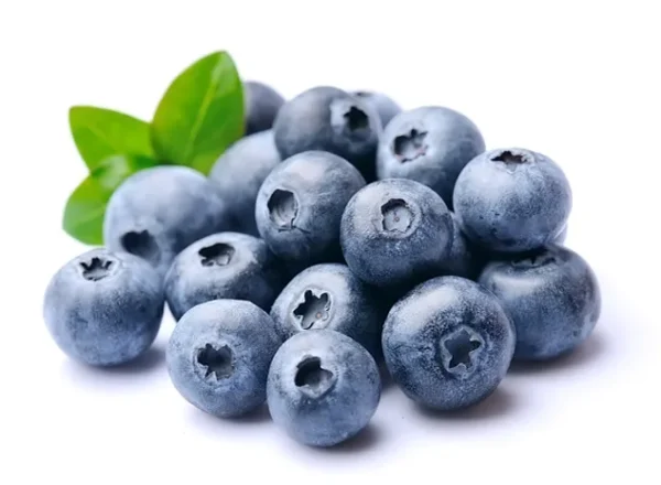 Manfaat Buah Blueberry untuk Kesehatan Tubuh