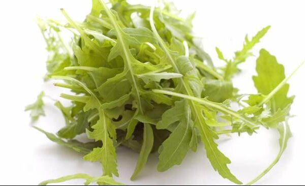 Manfaat Arugula untuk Kesehatan